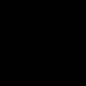 Meet your Posher, Giselle